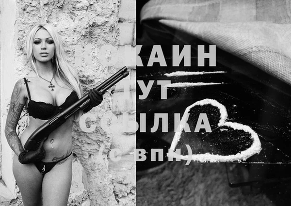 гашик Аркадак