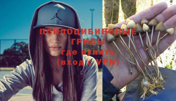 гашик Аркадак