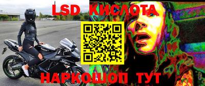 PSILOCYBIN Обнинск
