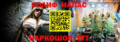 прущие грибы Обь
