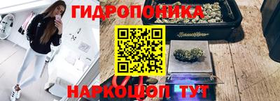 PSILOCYBIN Обнинск