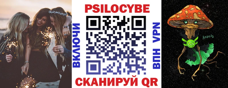 Псилоцибиновые грибы Psilocybe  Чайковский 