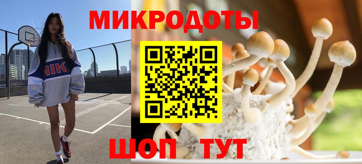 Псилоцибиновые грибы мицелий Чайковский