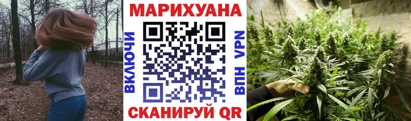 Конопля Ganja  Чайковский 